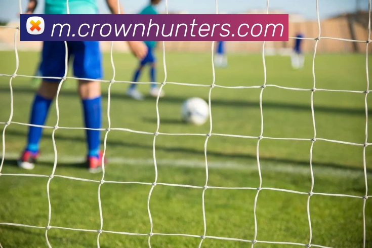 皇冠crown体育平台APP 封面图